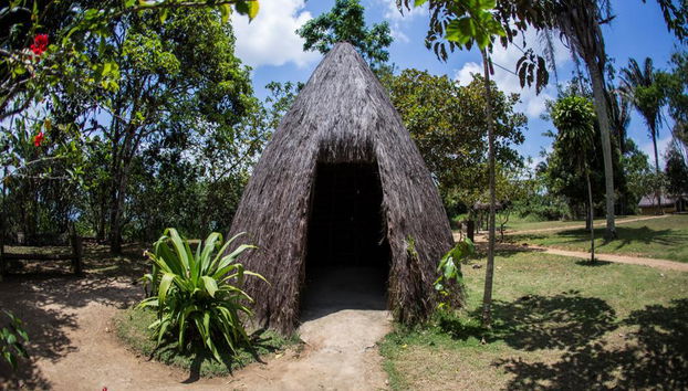 Belly Saw Tour, Quilombo dos Palmares - Photo 2